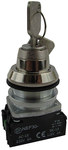 Buton NEF30-B2X W0-NEF30-B 2X